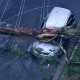 gustavo_ricardo_colloca_chuva_derruba_arvores_sp