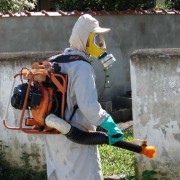 Dengue_em_São_Paulo_Saúde_Gustavo_Colloca