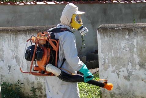 Dengue_em_São_Paulo_Saúde_Gustavo_Colloca